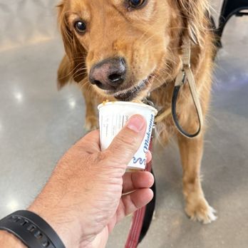Makenna Koffee - Peanut butter puppacino for Cosmo. - Coffee & Tea Near Me - Orange, California Makenna Koffee - Peanut butter puppacino for Cosmo. - Coffee & Tea Near Me - Orange, California