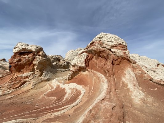 Dreamland Safari Tours by null