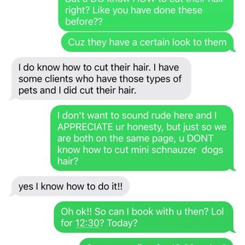 VIP DOGS Fast Grooming - Our conversation about him knowing how to groom schnauzers. - Pet Groomers Near Me