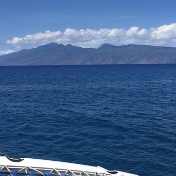 Trilogy Excursions - Snorkeling Near Me - Lahaina, Hawaii Trilogy Excursions - Snorkeling Near Me - Lahaina, Hawaii
