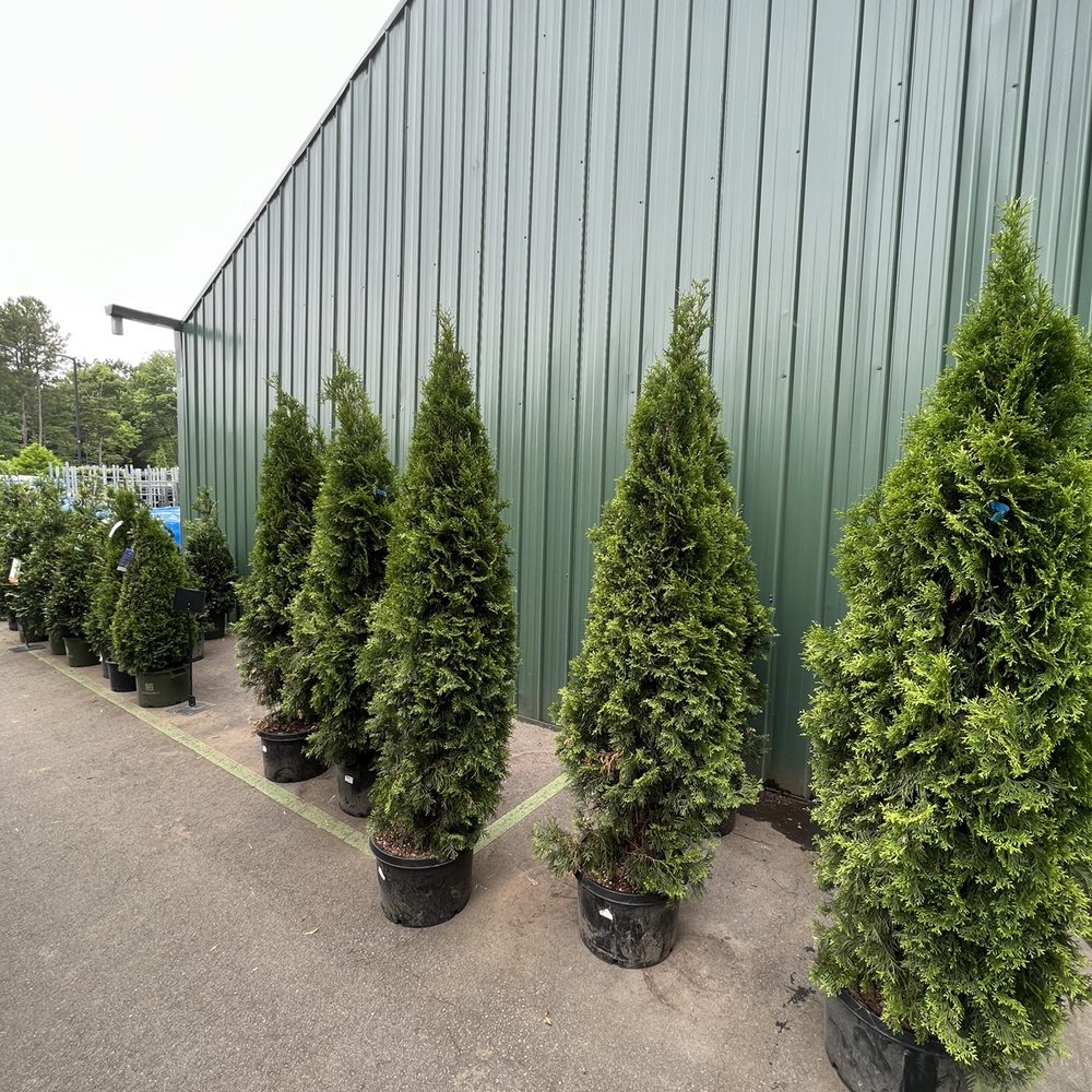 Pike Nurseries - Nurseries & Gardening Near Me - Cornelius, North Carolina