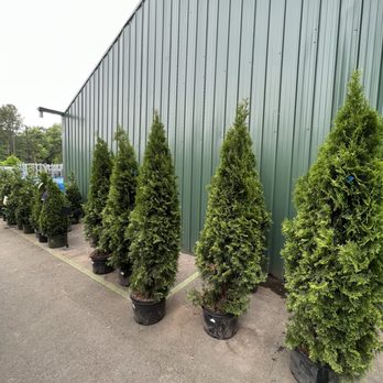 Pike Nurseries - Nurseries & Gardening Near Me - Cornelius, North Carolina Pike Nurseries - Nurseries & Gardening Near Me - Cornelius, North Carolina