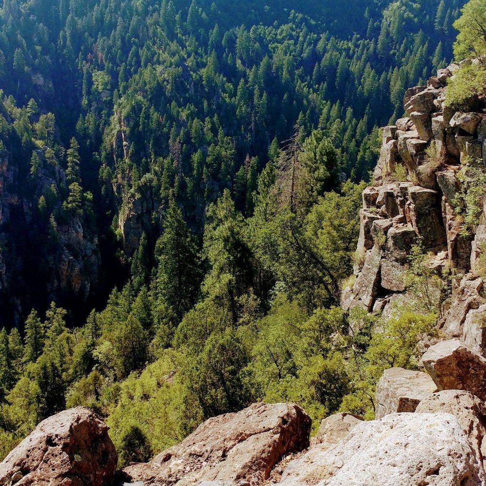 Coconino National Forest - Public Services & Government Near Me - Flagstaff, Arizona Coconino National Forest - Public Services & Government Near Me - Flagstaff, Arizona