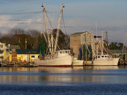 Potter's Seafood by null