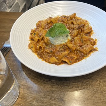 OLIVIA - Bolognese - Italian Near Me - Tampa, Florida