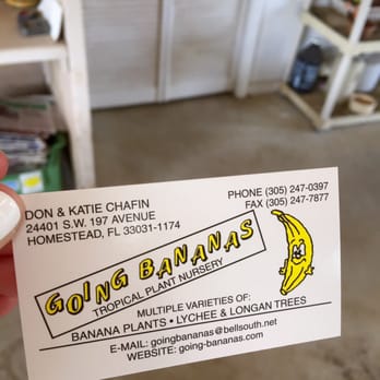 Going Bananas - Going BaNaNaS Info! - Nurseries & Gardening Near Me - Homestead, Florida Going Bananas - Going BaNaNaS Info! - Nurseries & Gardening Near Me - Homestead, Florida