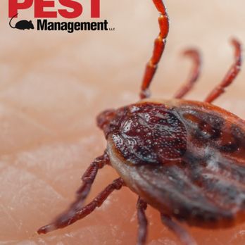 Midway Pest Management - Pest Control Near Me - Olathe, Kansas Midway Pest Management - Pest Control Near Me - Olathe, Kansas
