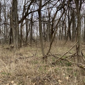 Red Maple Trail - Hiking Near Me - Louisville, Kentucky