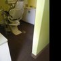 Photo of Jet Steam Carpet Cleaning