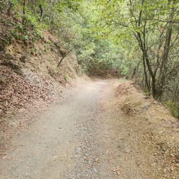 Parque Ecológico Chipinque - Hiking Near Me - Monterrey, NLE Parque Ecológico Chipinque - Hiking Near Me - Monterrey, NLE