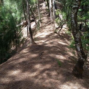 Nāpu'umai'a - Ridge - Hiking Near Me - Honolulu, Hawaii