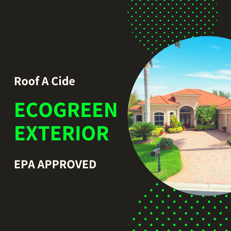 Slide of Eco Green Drone