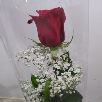 Four Seasons Florists - Florists Near Me - Flushing, New York Four Seasons Florists - Florists Near Me - Flushing, New York