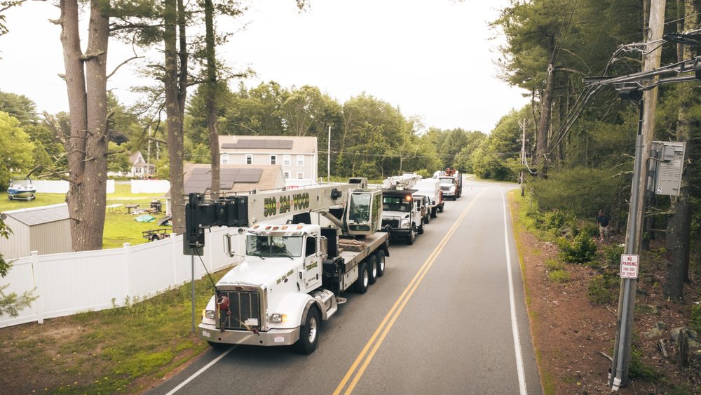 Bobs Tree Work - tree service in Uxbridge, MA