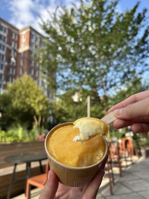 Bird in Hand by null