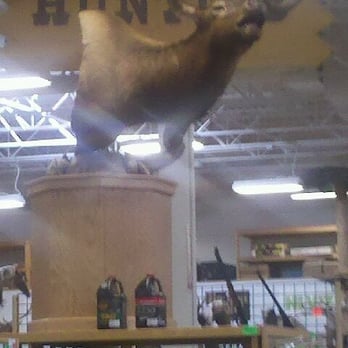 Sportsman's Warehouse - Hunting & Fishing Supplies Near Me - St. George, Utah Sportsman's Warehouse - Hunting & Fishing Supplies Near Me - St. George, Utah