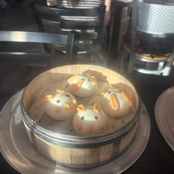 Luscious Dumplings - Chinese Near Me - San Antonio, Texas Luscious Dumplings - Chinese Near Me - San Antonio, Texas