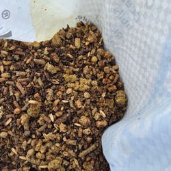 Foothill Feed - Delivered wet grain