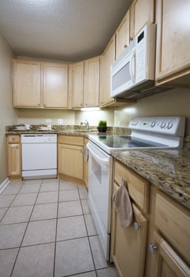 Millennium Park Plaza by null