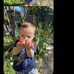 The Playhouse Child Development Program