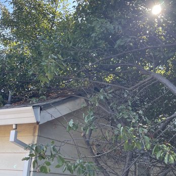 Ramirez Tree Service - Tree Services Near Me