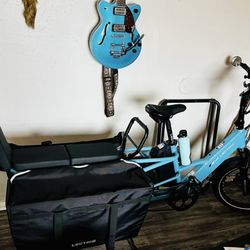 Aggieland Cycling - I needed help removing a factory over-torqued accessory screw blocking the passenger grab handle