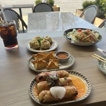 Sorn Thai Restaurant & Bar - Thai Dumplings, Crab Rangoons, Chicken Spring Rolls, Papaya Salad - Thai Near Me - McLean, Virginia