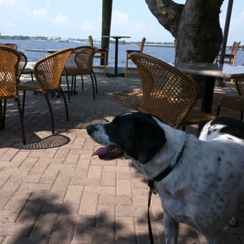 PIER 22 - Dog friendly - New American Near Me - Bradenton, Florida