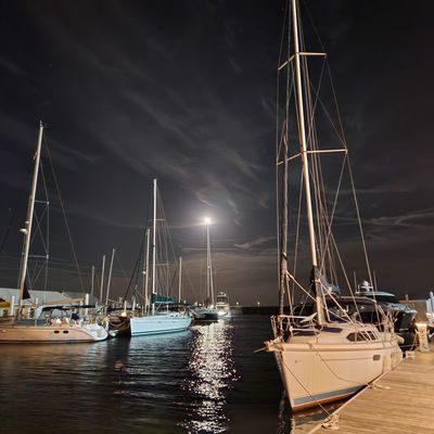 The Houseboats of Seville Harbour by null