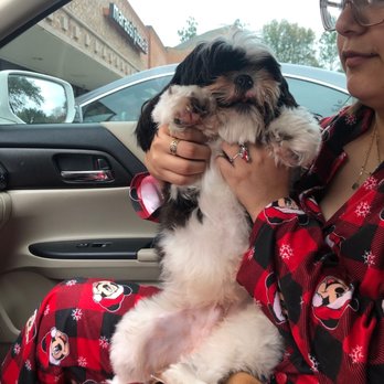 Pet Spa & Retreat - Pet Sitting Near Me - Katy, Texas Pet Spa & Retreat - Pet Sitting Near Me - Katy, Texas
