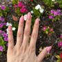 Photo of Circle City Nails