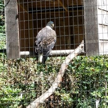 Brandywine Zoo - Zoos Near Me - Wilmington, Delaware