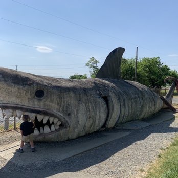 Dinosaur Land - Amusement Parks Near Me - White Post, Virginia