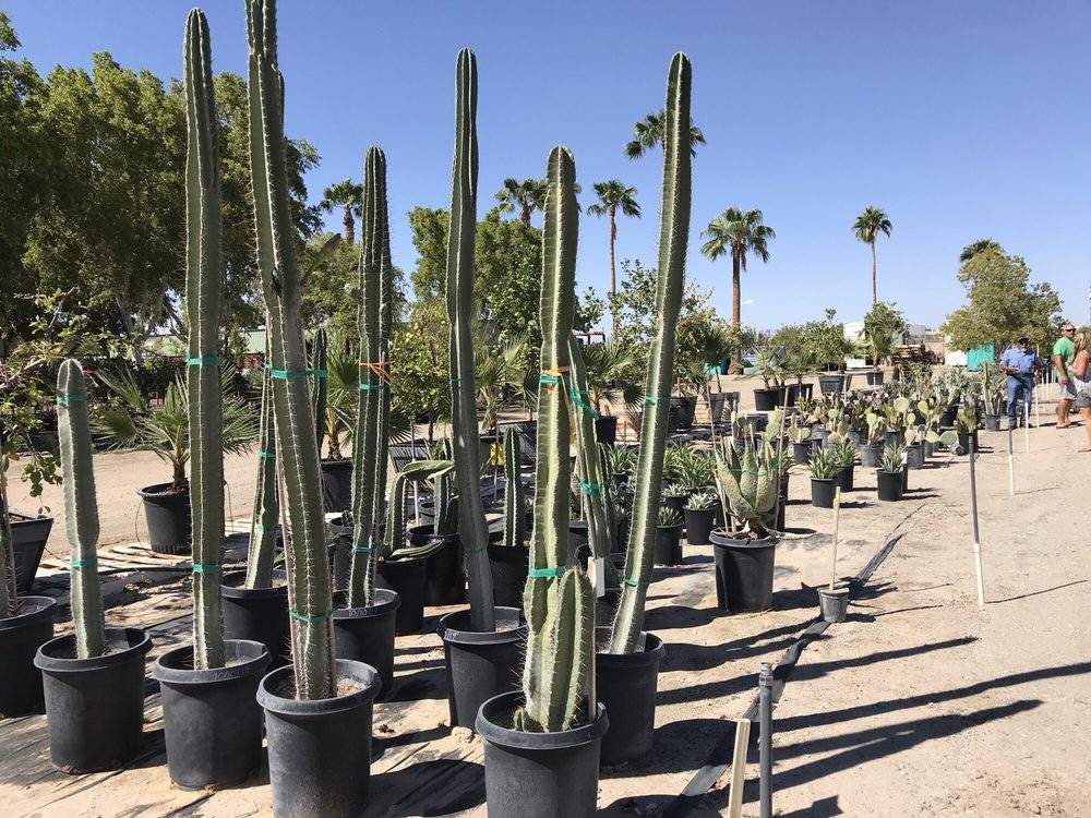YUMA NURSERY SUPPLY 15 Photos Nurseries & Gardening 4405 S Avenue