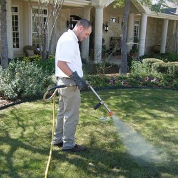 Swat Exterminating - Lawn Spraying in Clearwater by Swat Exterminating Company - Pest Control Near Me - Clearwater, Florida