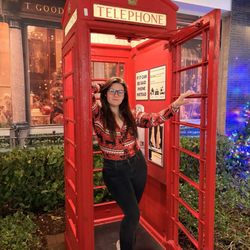 Holidays At UTC