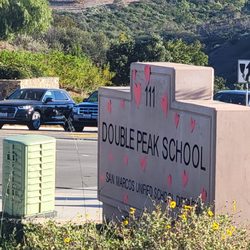Double Peak School - Valentine's Day!