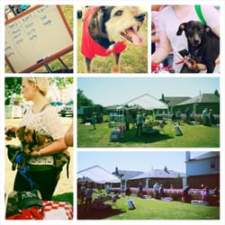 D & L Farm and Home - Weenie Dog Races 2014