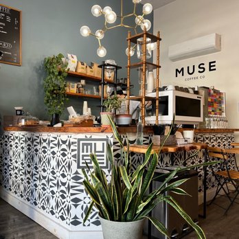 Muse Coffee - a plant in a pot in front of the counter - Coffee & Tea Near Me - Lyndhurst, New Jersey