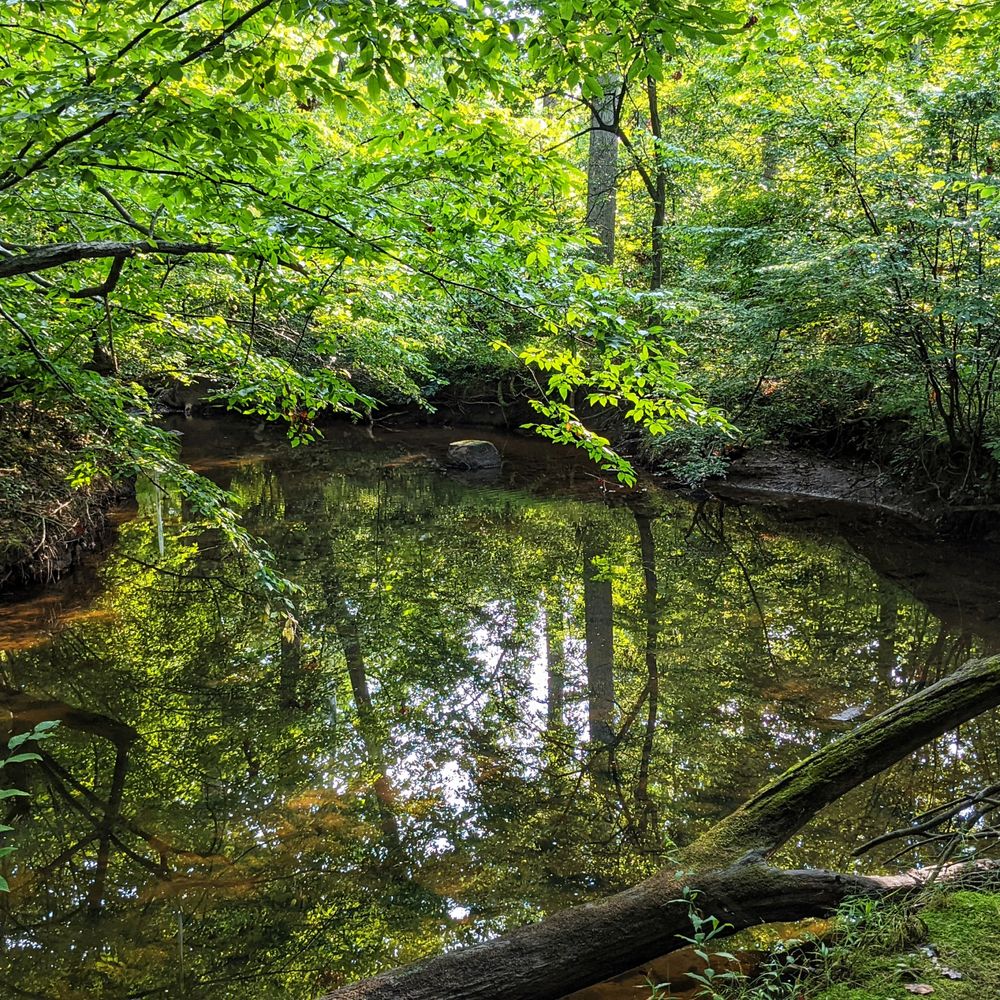 Rocky Run Stream Valley Trail - Hiking Near Me - Chantilly, Virginia Rocky Run Stream Valley Trail - Hiking Near Me - Chantilly, Virginia