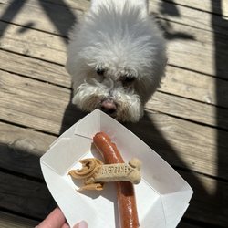 MUTTS Canine Cantina - Dog menu