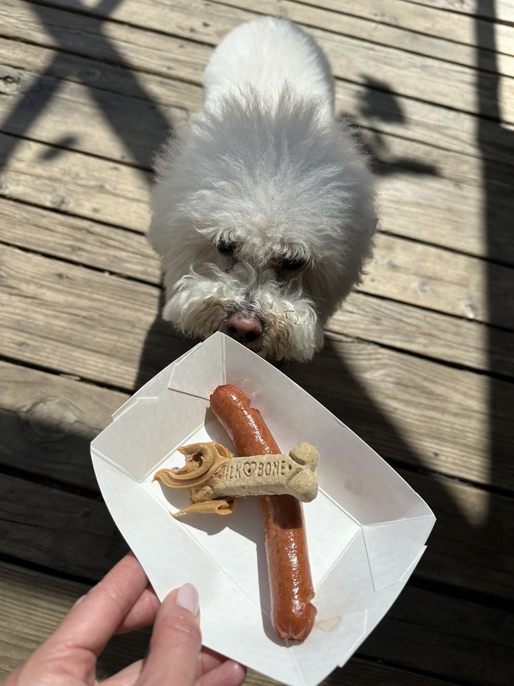 MUTTS CANINE CANTINA® DALLAS Updated October 2024 471 Photos