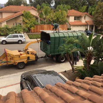 Oc Tree Care - This saves everyone time! The right equipment is essential - Tree Services Near Me - Orange, California Oc Tree Care - This saves everyone time! The right equipment is essential - Tree Services Near Me - Orange, California