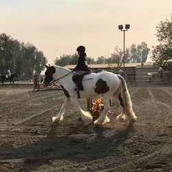 Jarose Training