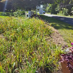 Ryan Family Flower Farm