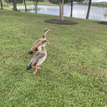 West Lake Park - cool - Parks Near Me - Houston, Texas