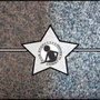 Five Star Carpet And Tile Cleaning