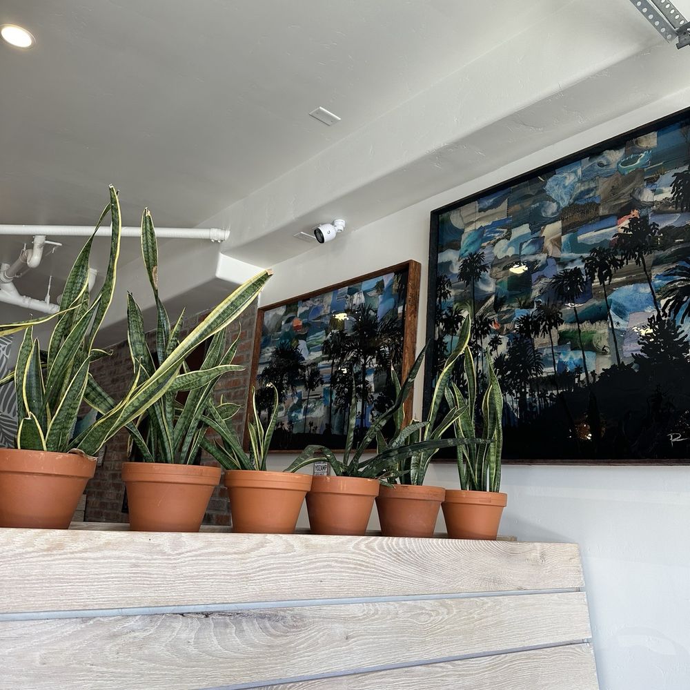 Local Roots - Wine Bars Near Me - Solana Beach, California Local Roots - Wine Bars Near Me - Solana Beach, California