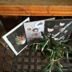 Lily & Co - Cards and plants