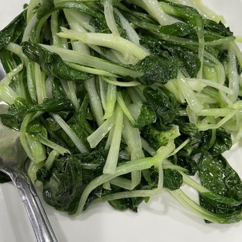 XLB Kitchen - Baby Bok Choy - Szechuan Near Me - Cupertino, California XLB Kitchen - Baby Bok Choy - Szechuan Near Me - Cupertino, California